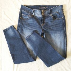 Torrid Denim Skinny Leg Jegging